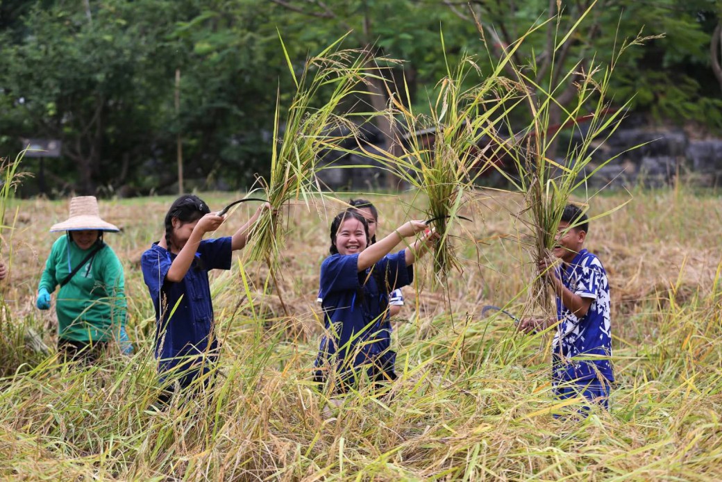 FILE-20251117-1334DTDE7QQFG9P1