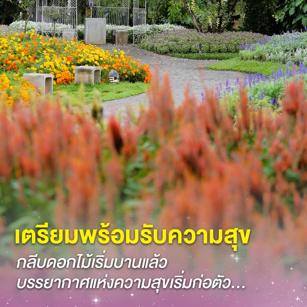 FILE-20251117-13372Y54DV7ZSAJN