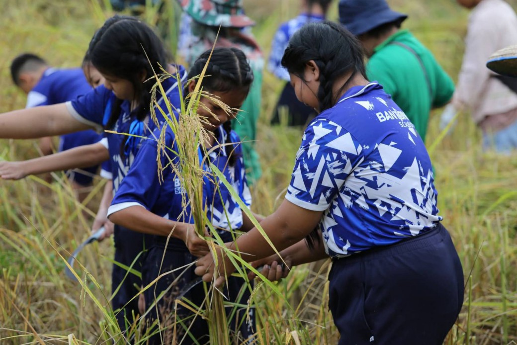 FILE-20251117-1339697UZW6XC91C