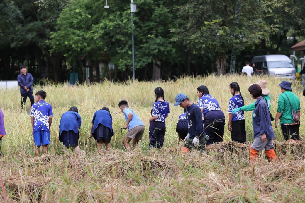 FILE-20251117-1340A6ZKRLW73FLU