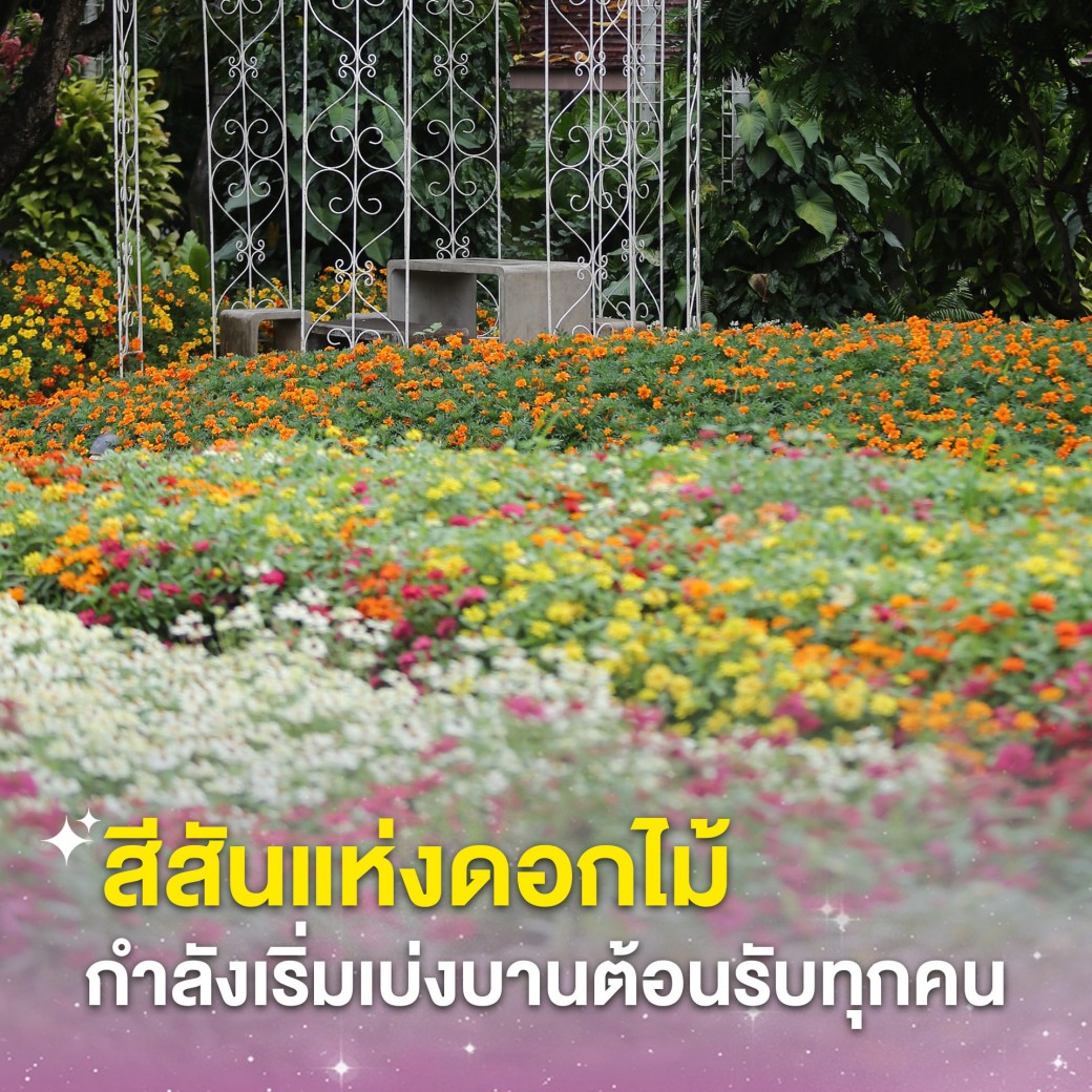 FILE-20251117-13421QB61EC4S2YS