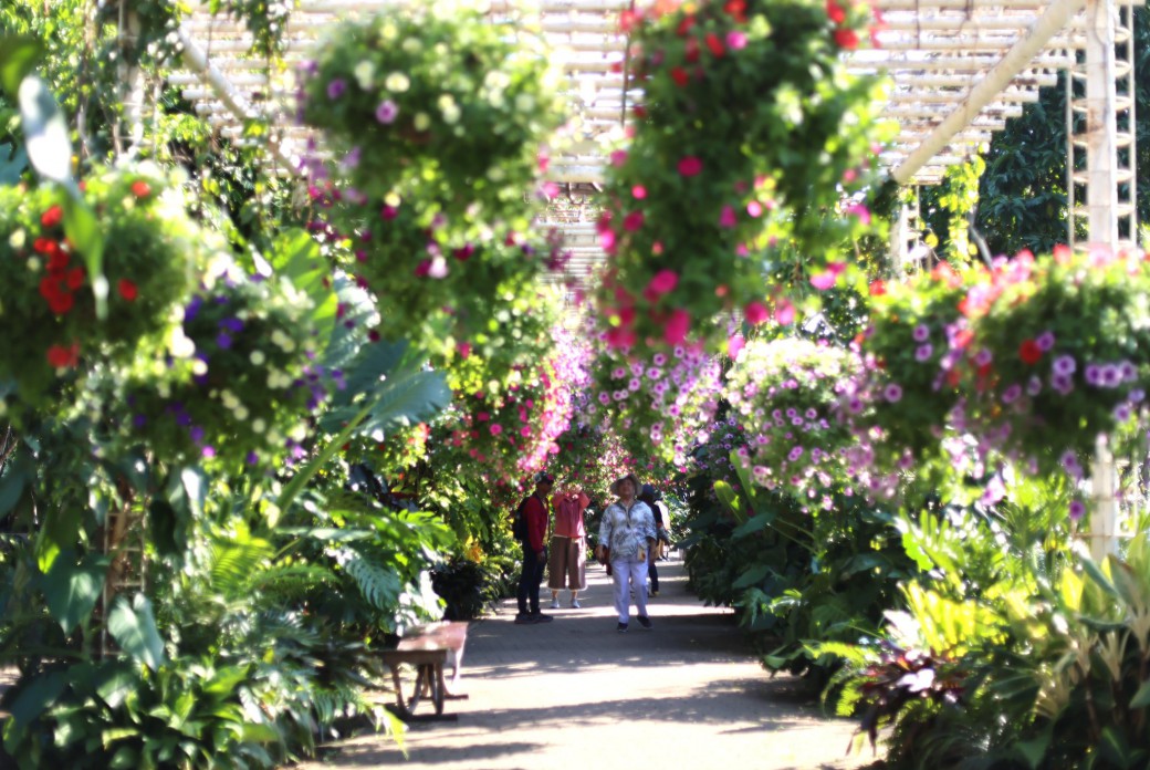 FILE-20251117-1342AYP8M4VSQG5C