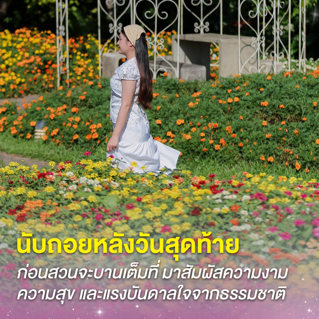 FILE-20251117-1343GNHNEE8EDVMC