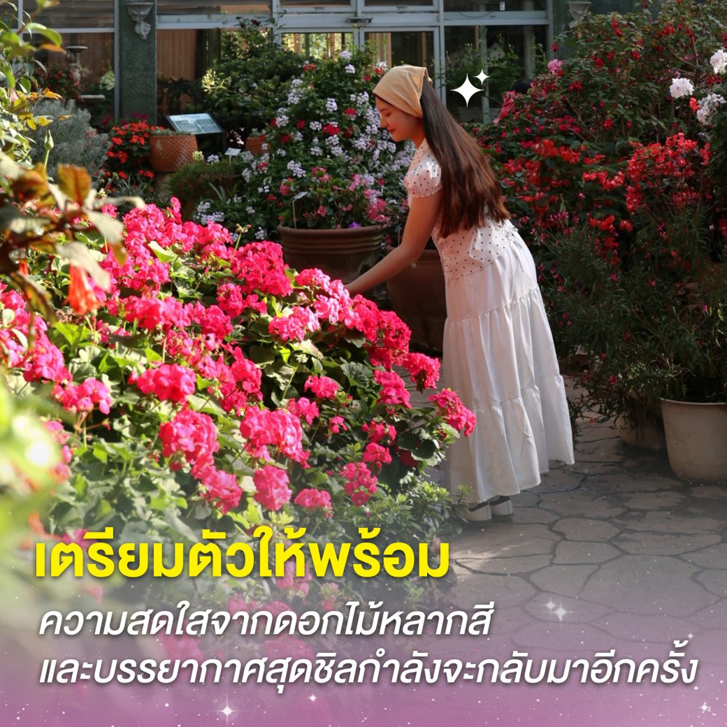 FILE-20251117-1350JXG2KP1P5KXJ