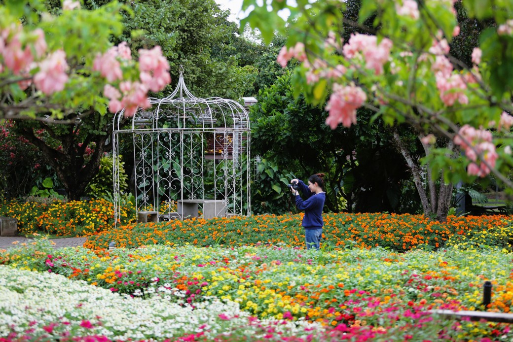 FILE-20251117-135492TGZDH8XZYJ