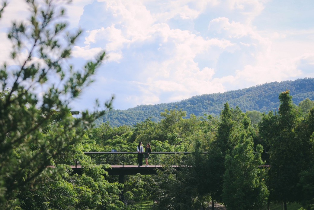 FILE-20251124-153657MEBSU8ZF1P