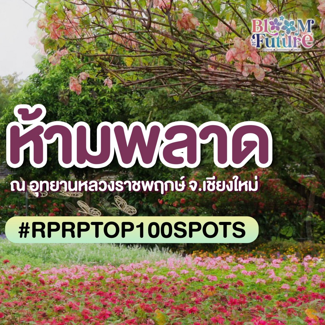 FILE-20251124-1539LZWPQX7XFUC7