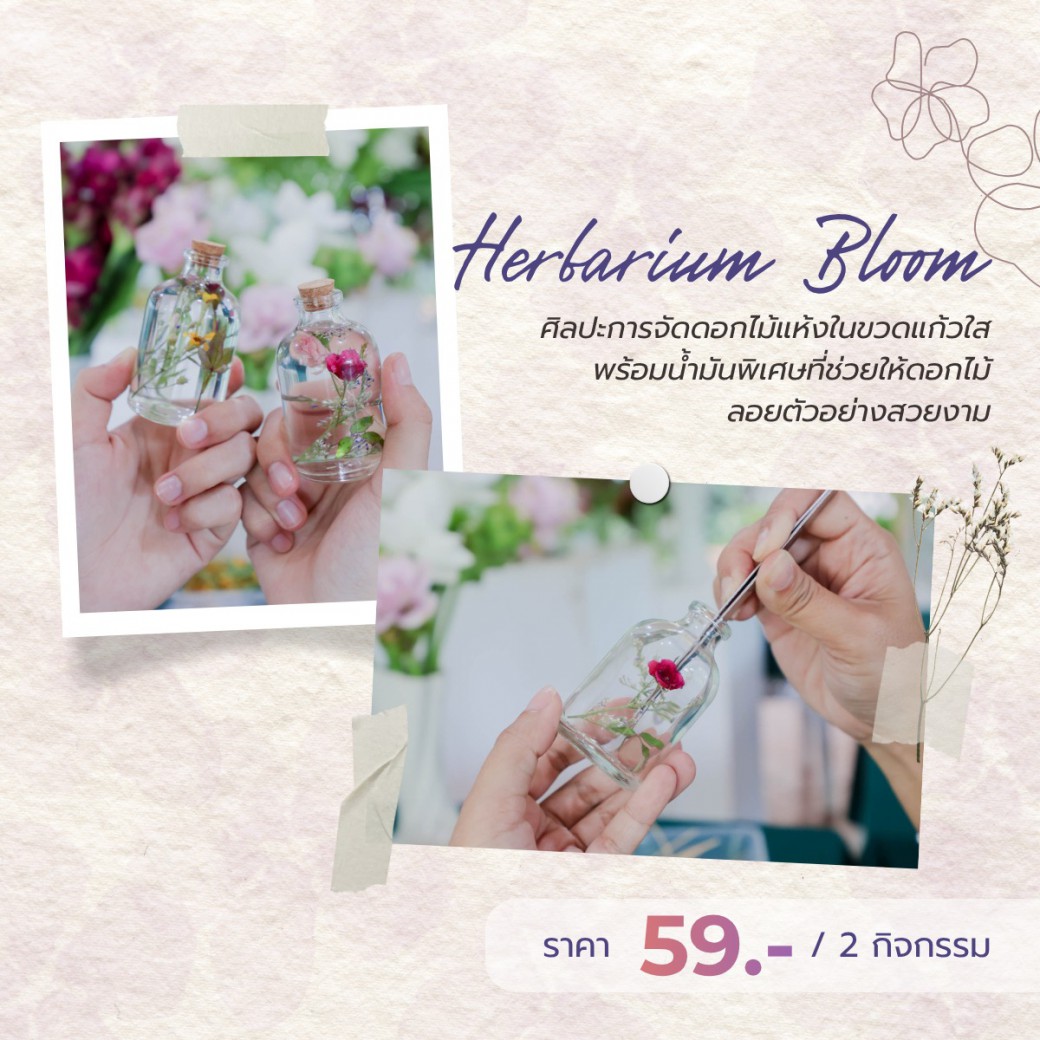 FILE-20251124-1550RT8WS5ZHNW4Q