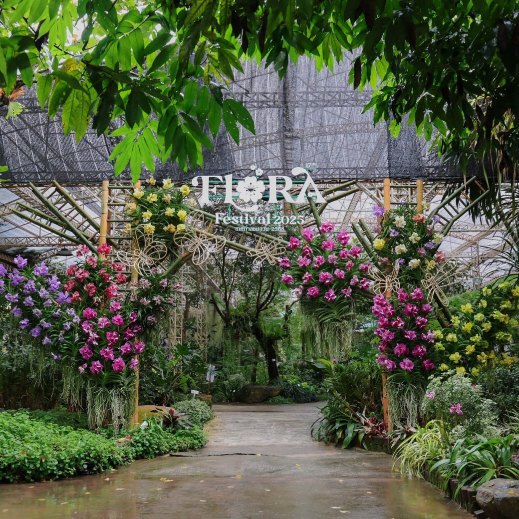 FILE-20251124-1559F3UX5AXDTR43