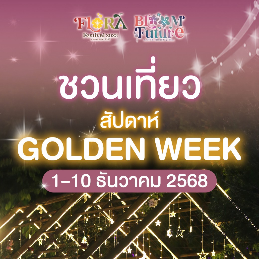 FILE-20251202-1101MUZAP756QQC5