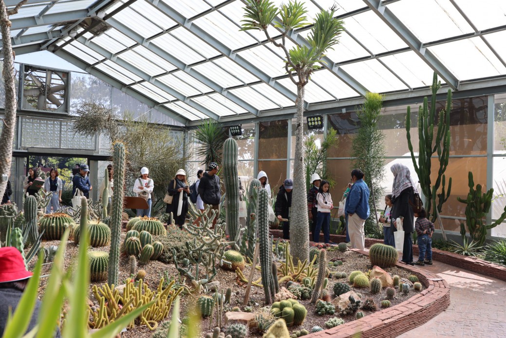 FILE-20251202-1105A34NRF2RG2UE