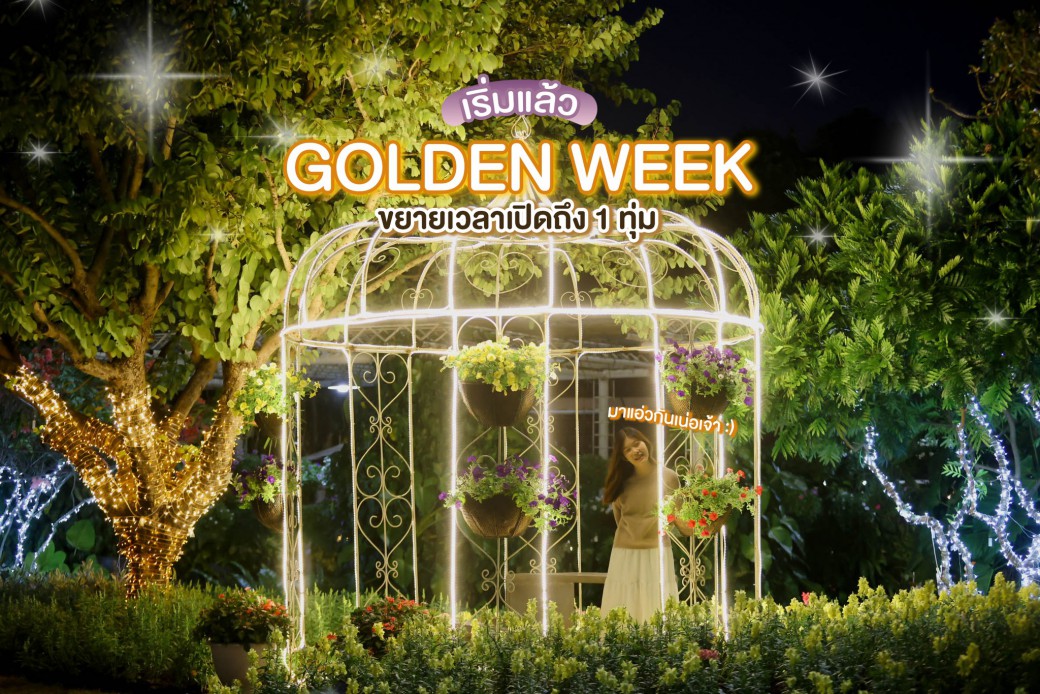 FILE-20251202-1127Z6W4FTZVVST6