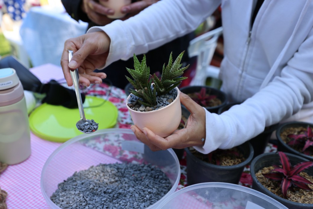 FILE-20251202-1129EUAQF3F8JMNT