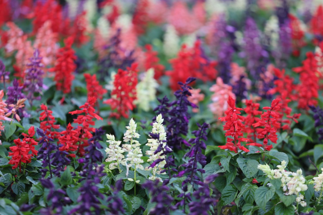 FILE-20251202-1132ME7U752SSYHZ