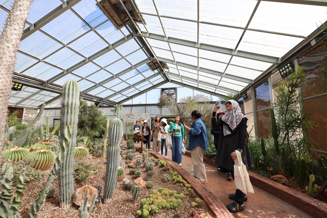 FILE-20251202-113531YQDV9LQXBB