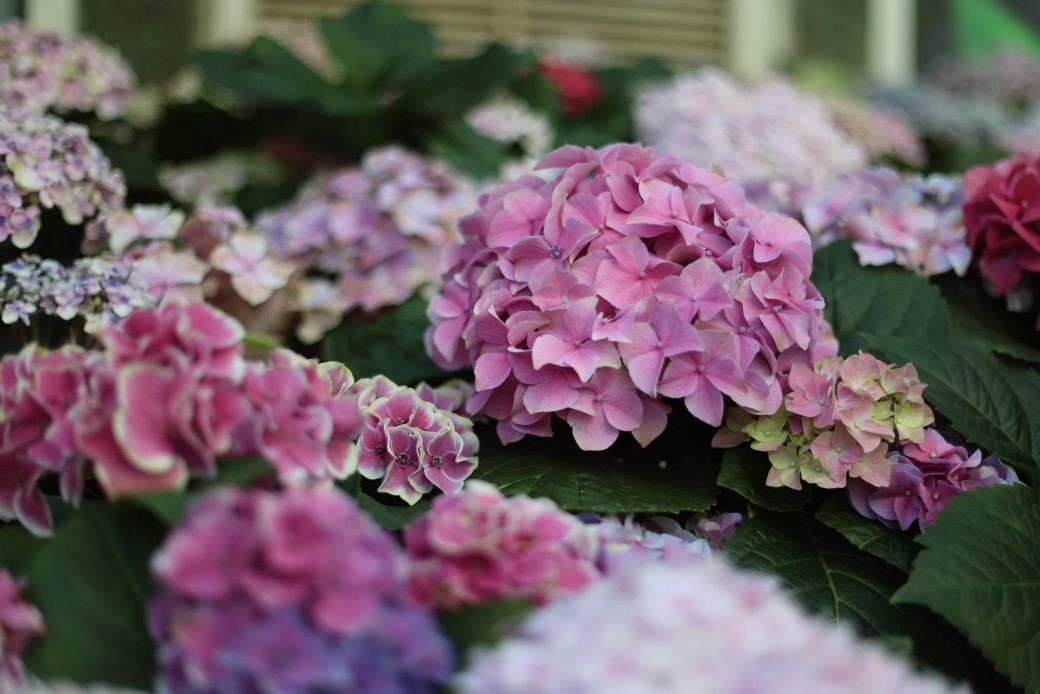 FILE-20251202-114058VBG9YVDPYK