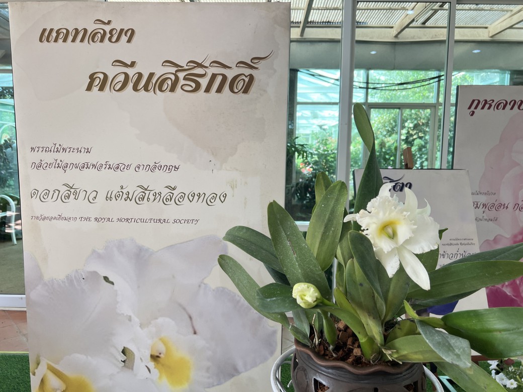 FILE-20251208-11306HFVGVH2DG47