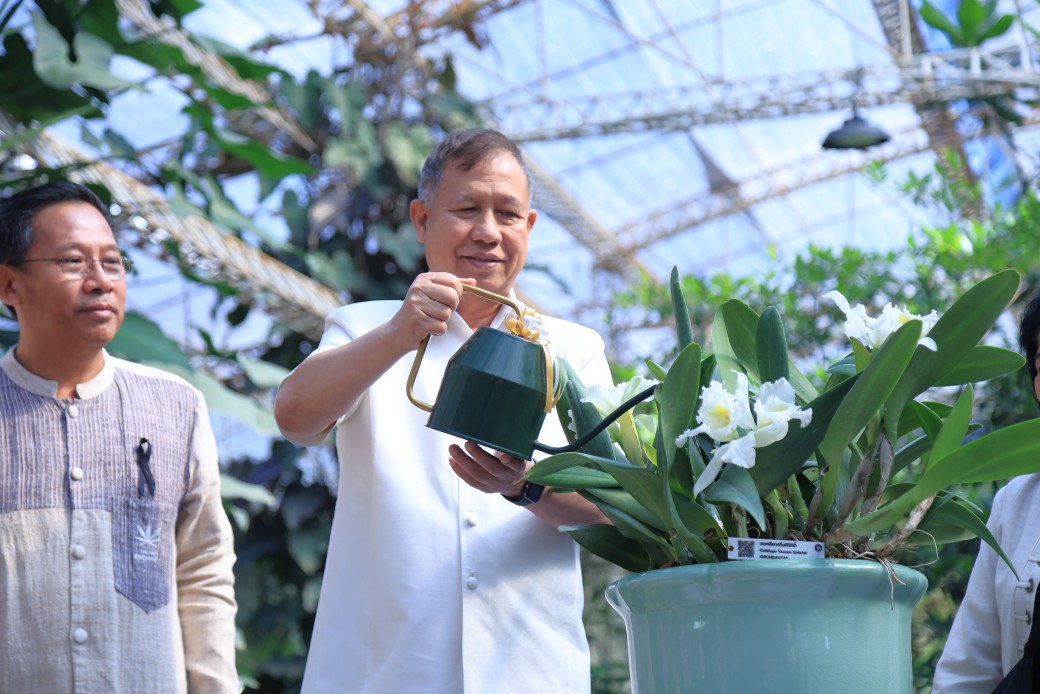 FILE-20251208-1150HYL88HVDSGTM