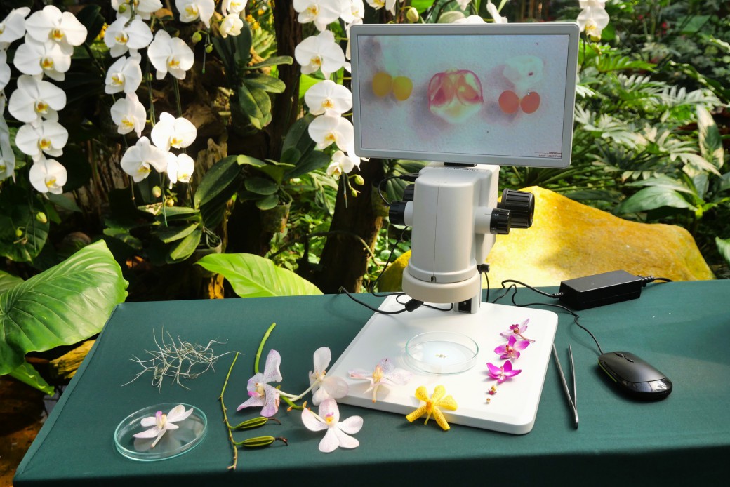 FILE-20251208-1206H4QXG5TVQW2U