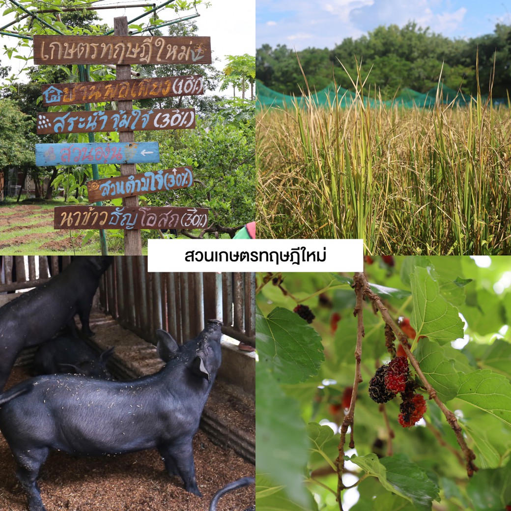 FILE-20251208-1221T7JDJDEMJ8GG