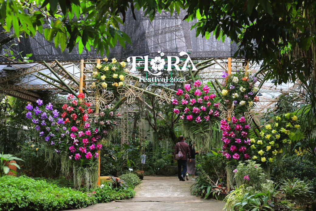 FILE-20251208-1224RVPPNZA245J8