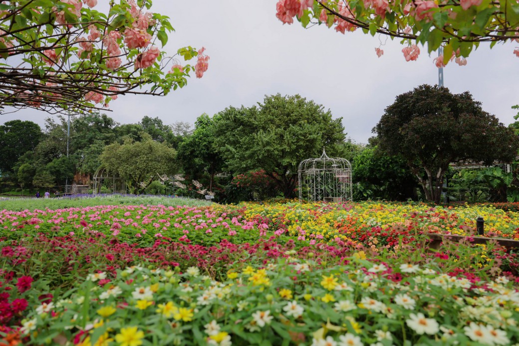 FILE-20251208-1243VTRA6X31RAGK