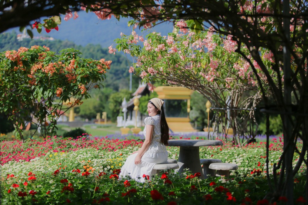 FILE-20251208-1256J83DTNN9MA3P