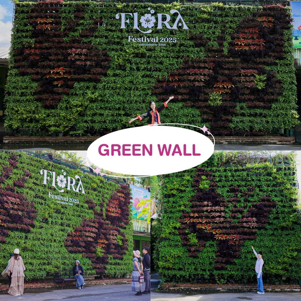 FILE-20251210-15008WL5N15X5NWP