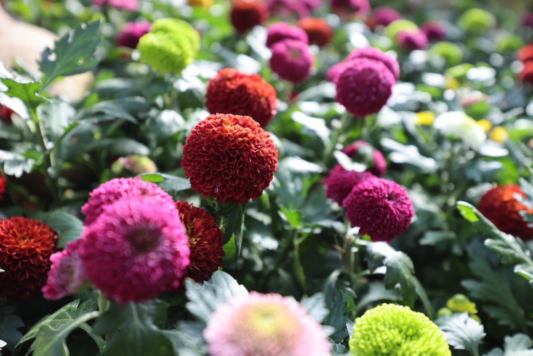 FILE-20251210-150339DC86SUEVEW