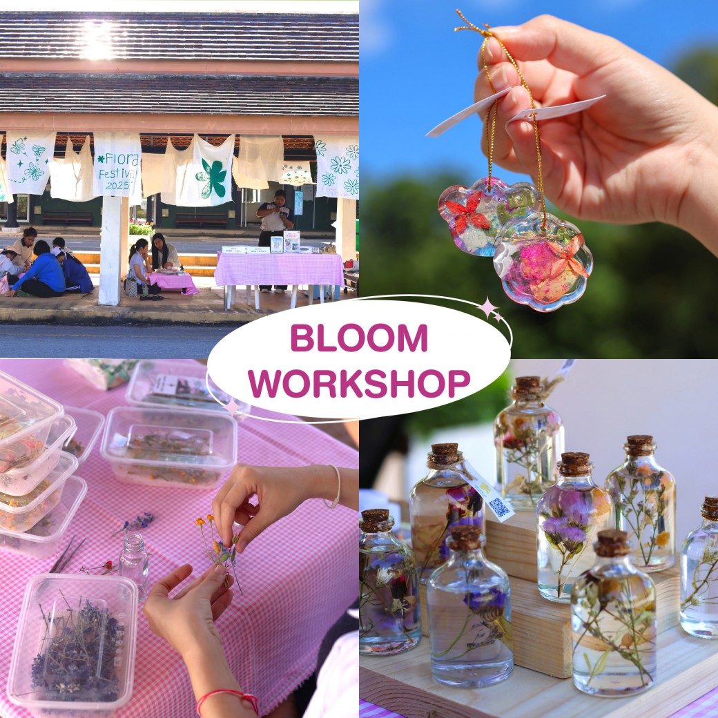 FILE-20251210-1504T3B72K7HFQ8S