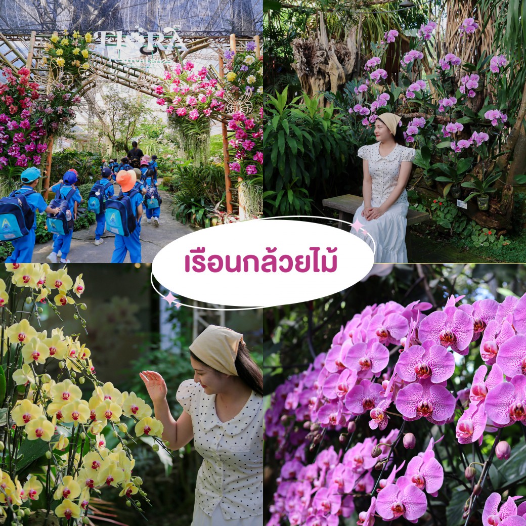 FILE-20251210-1505H2KWR2ADX9RH