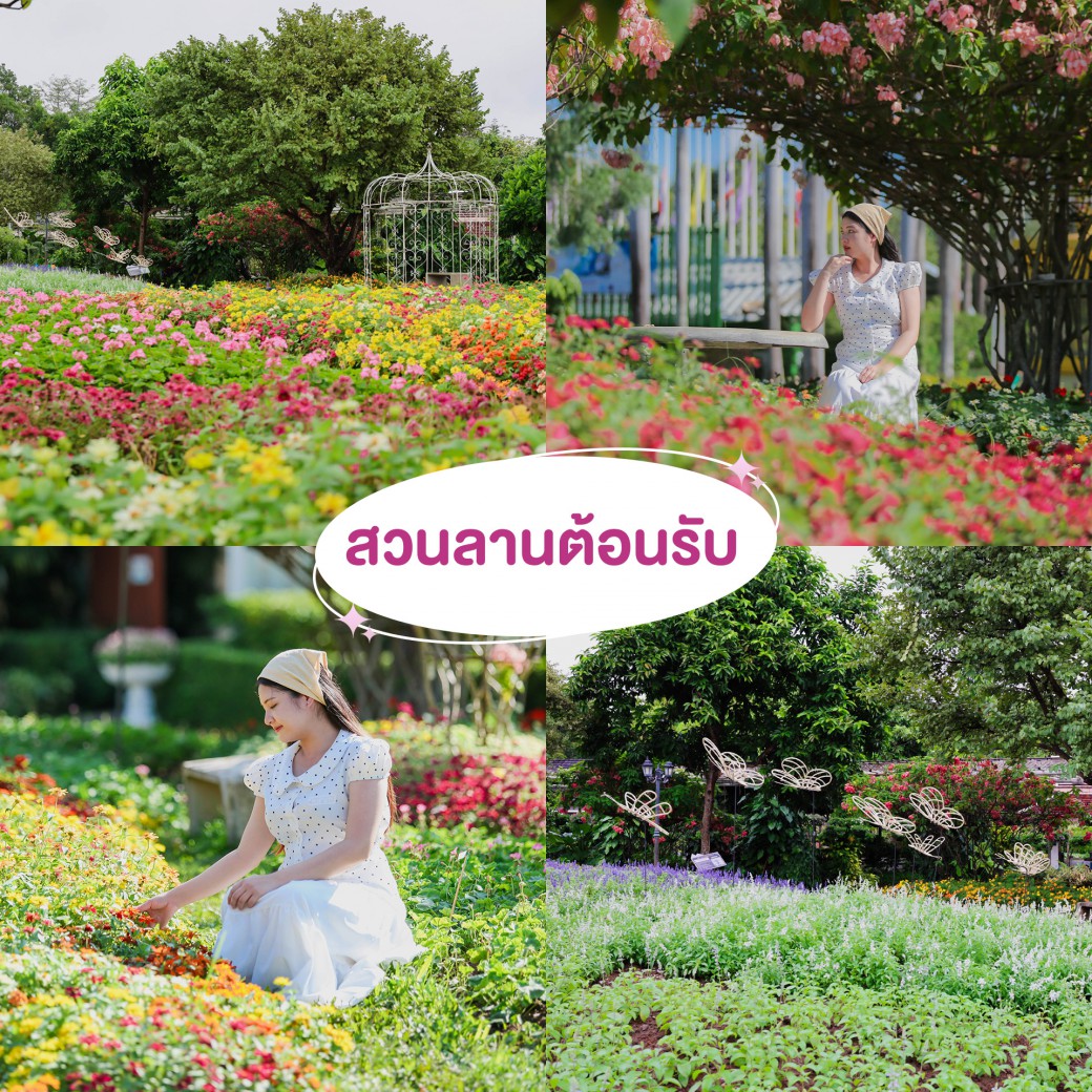 FILE-20251210-1513TLW5HTHY8GJL