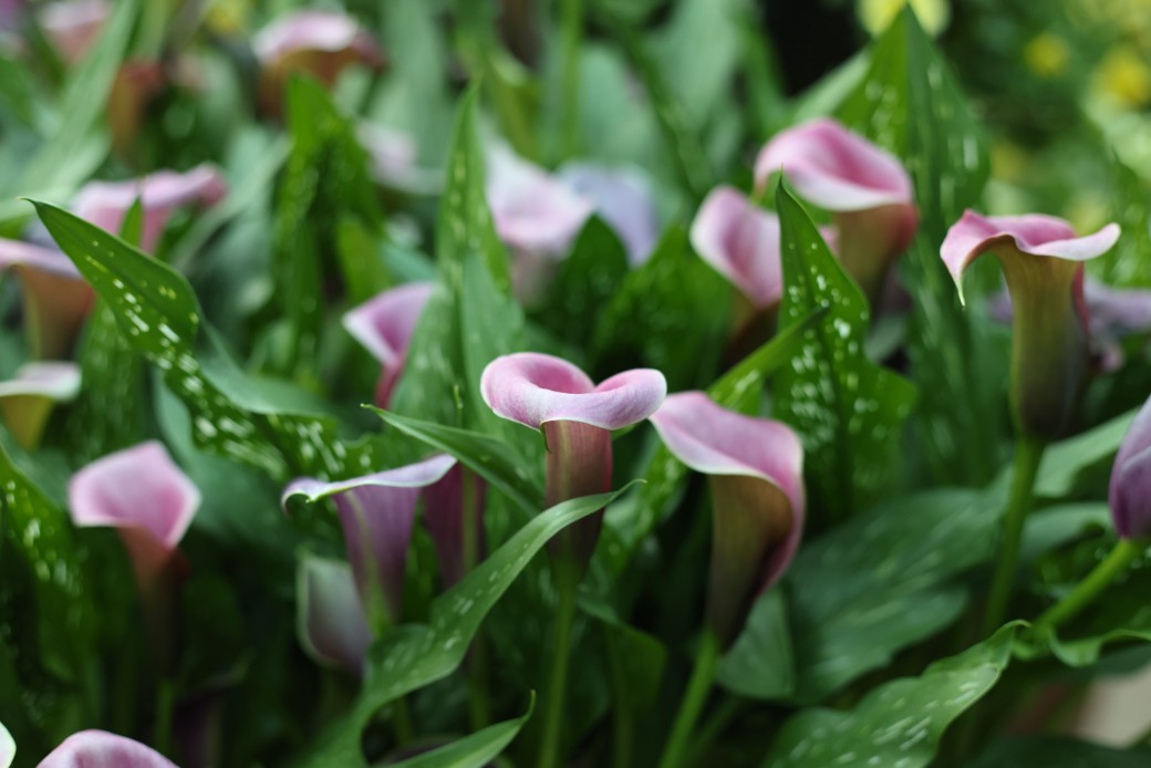 FILE-20251210-1515QBHB3SQLYM3L