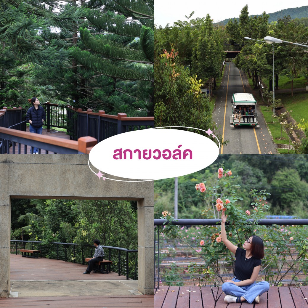 FILE-20251210-1519X6KN2YLXVVC7