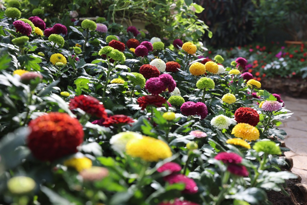 FILE-20251210-1524JHJM85DSKJYW