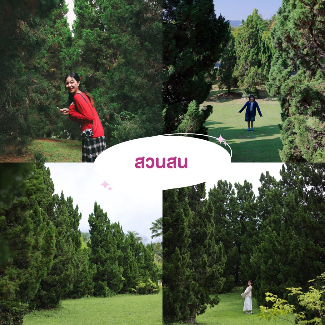 FILE-20251210-15267XSKQBW26NH3