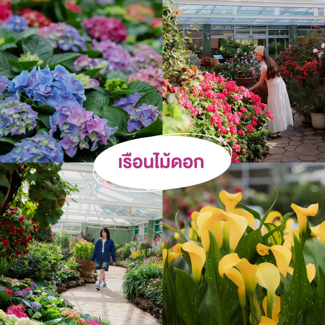 FILE-20251210-1528RH5B56LH2EC7