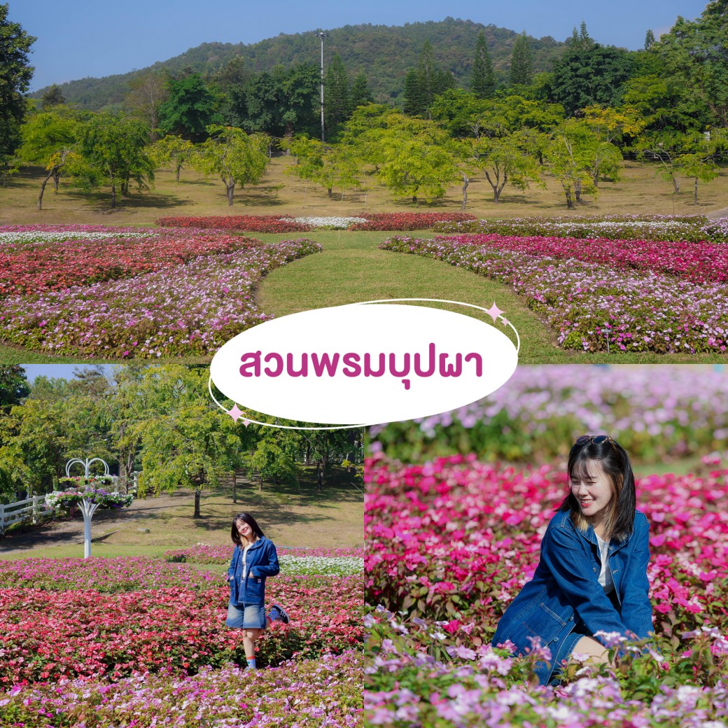 FILE-20251210-1530CLAN7585XRW1