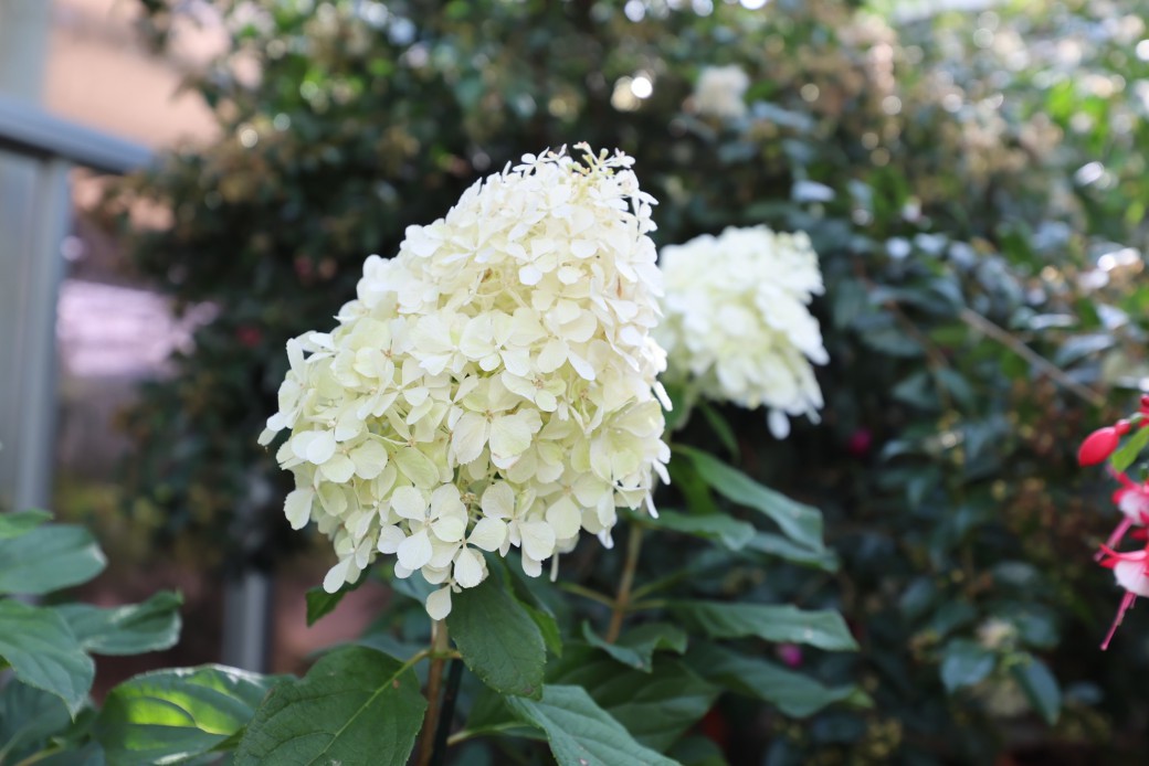 FILE-20251210-1537VCVLWK5QNDF1