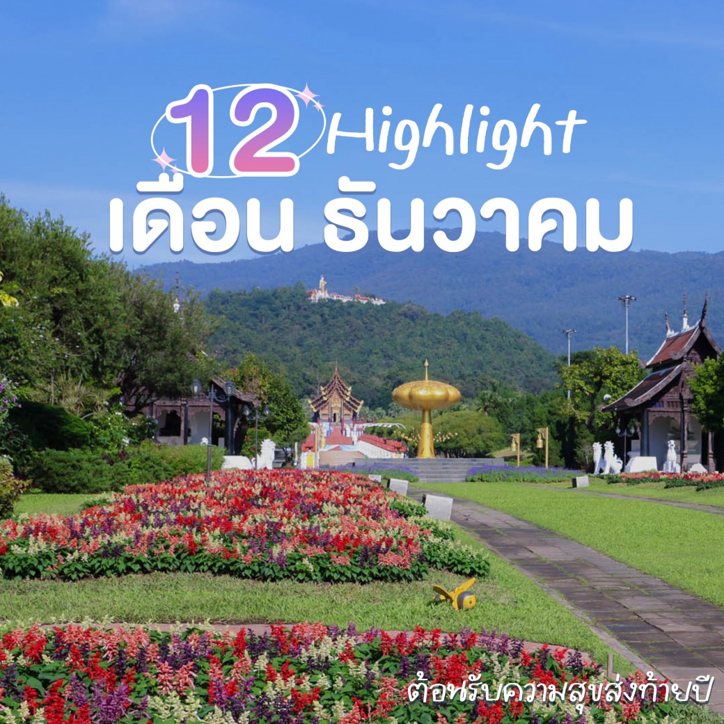 FILE-20251210-1538DH4C599JDH5T