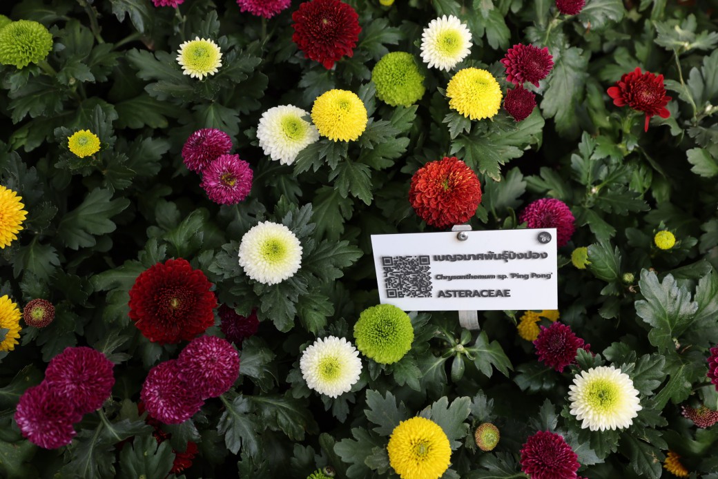 FILE-20251210-1538YVWATL9X56H3