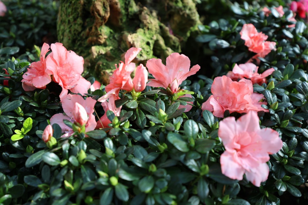 FILE-20251210-1544D9YDW6K1AF2X