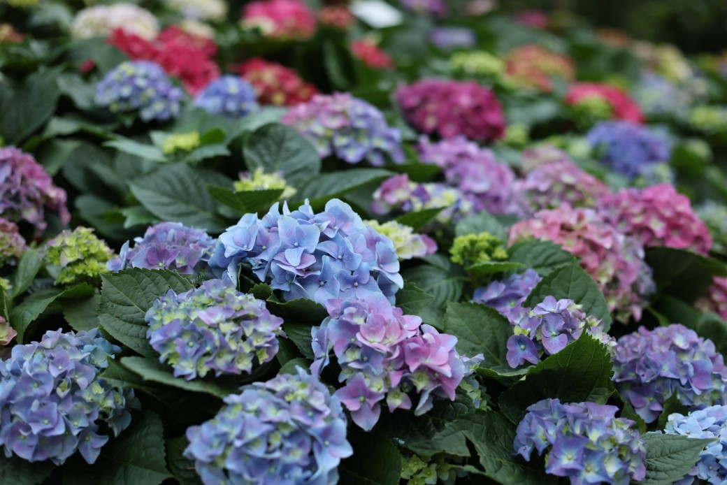 FILE-20251210-15482FYURA83W2XJ