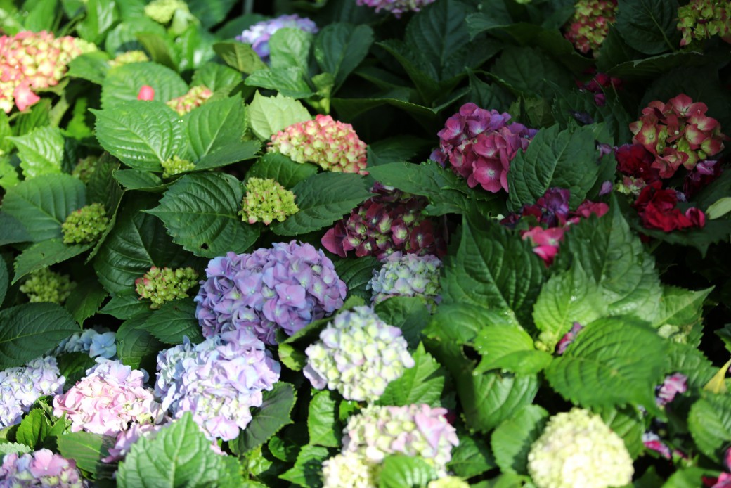 FILE-20251210-15508Q25XAZ379AP