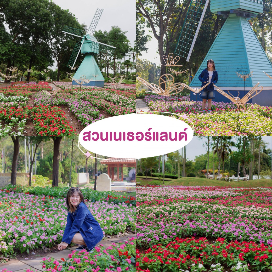 FILE-20251210-1551UTY9VRETUPZ3