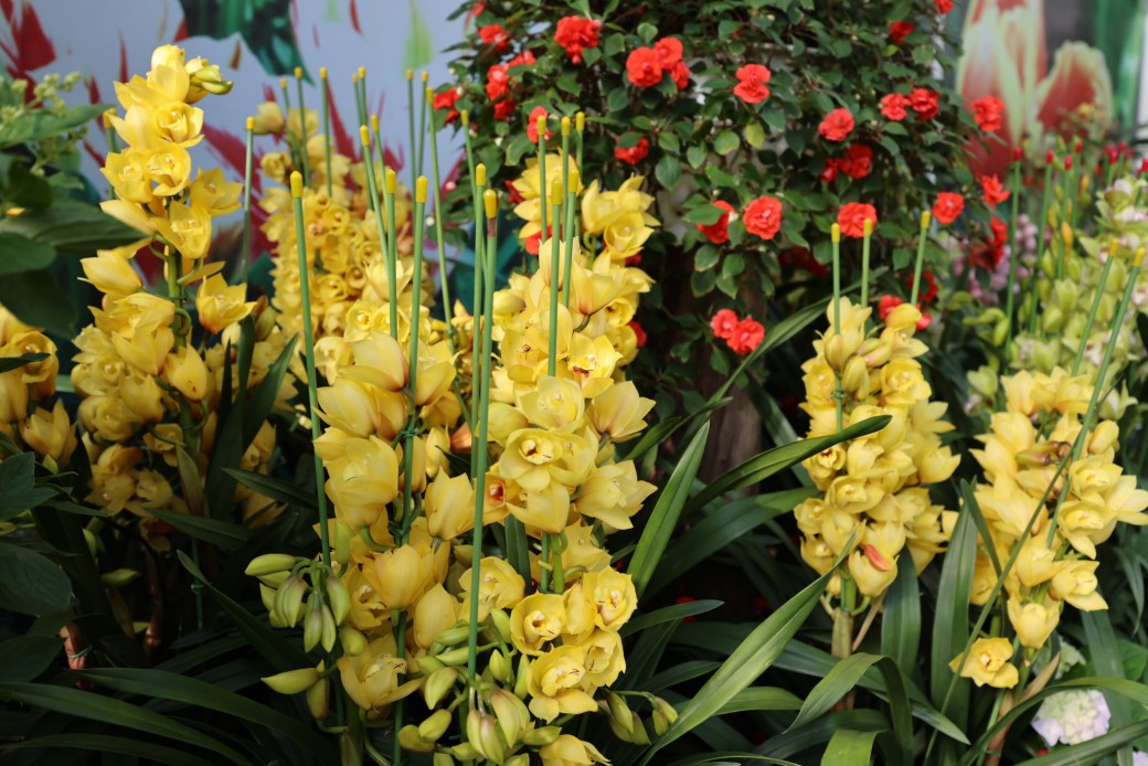 FILE-20251210-15531DJEW848M1RT