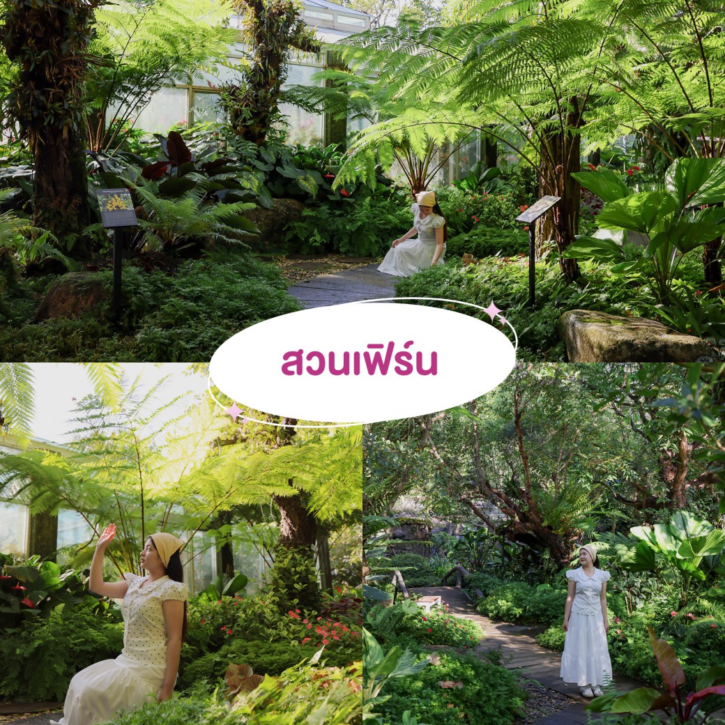 FILE-20251210-15533LUS5ZCWBPXC