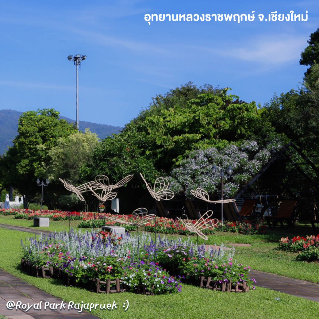 FILE-20251210-1558F8DPS5NFYJ33