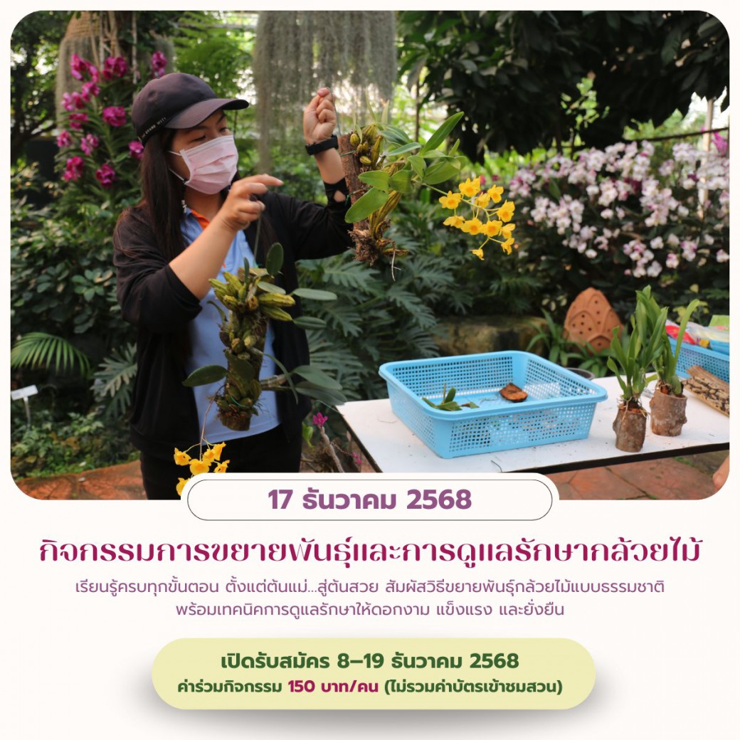 FILE-20251213-1308D3YT7NXAHZRG