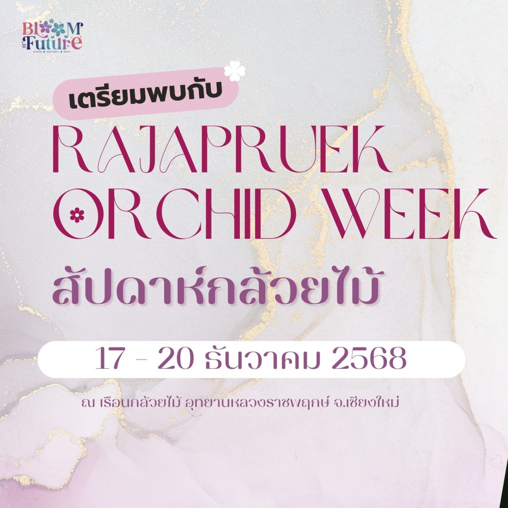 FILE-20251213-13198HU4ATHU9Y89